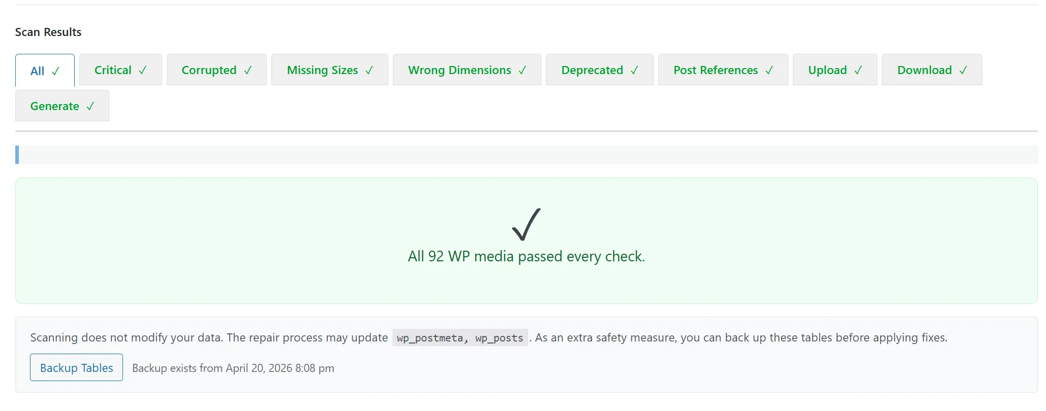 A clean scanner result — zero issues across the library, the desired end state after a successful Fix All pass