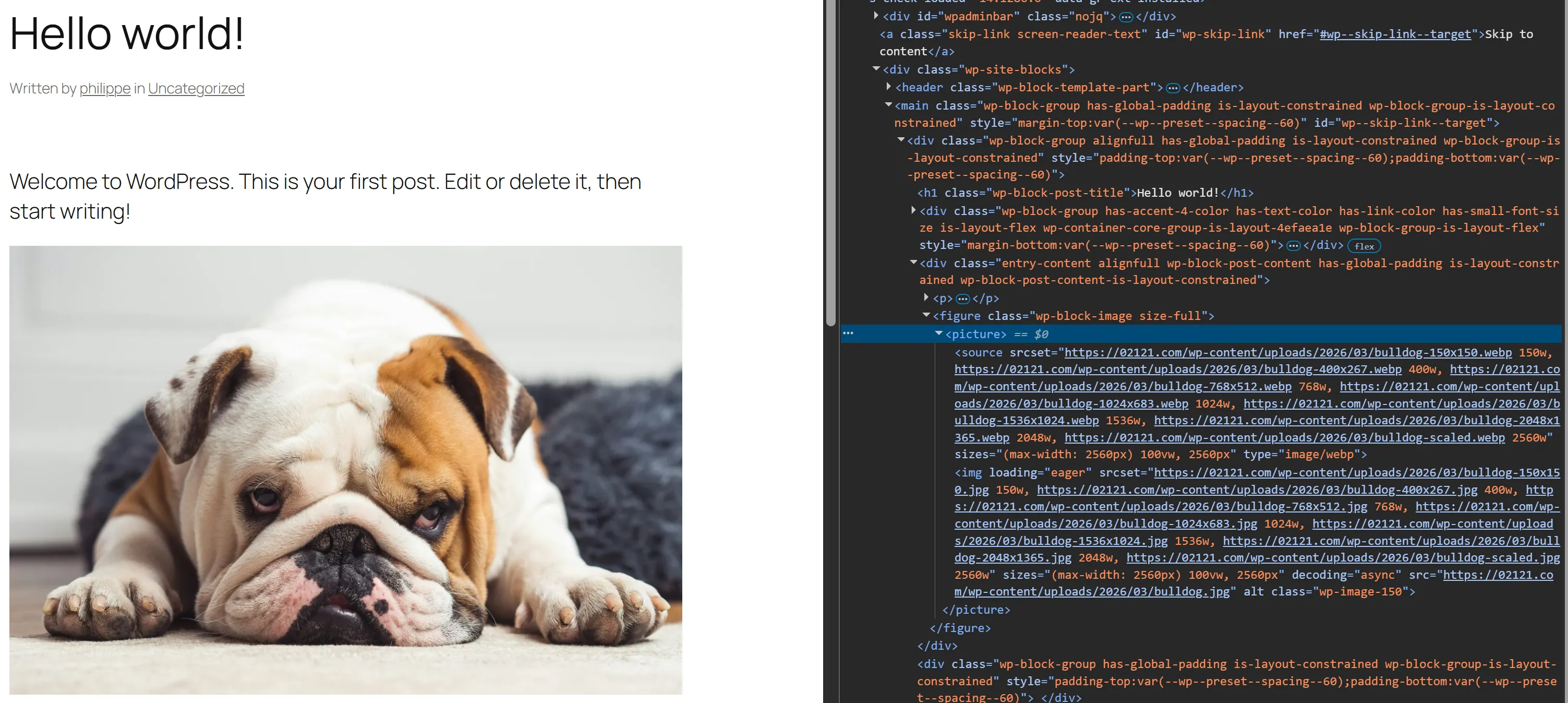 Browser DevTools inspecting a rendered image — the markup shows a picture element with source tags pointing at the R2-served URLs and WebP variants