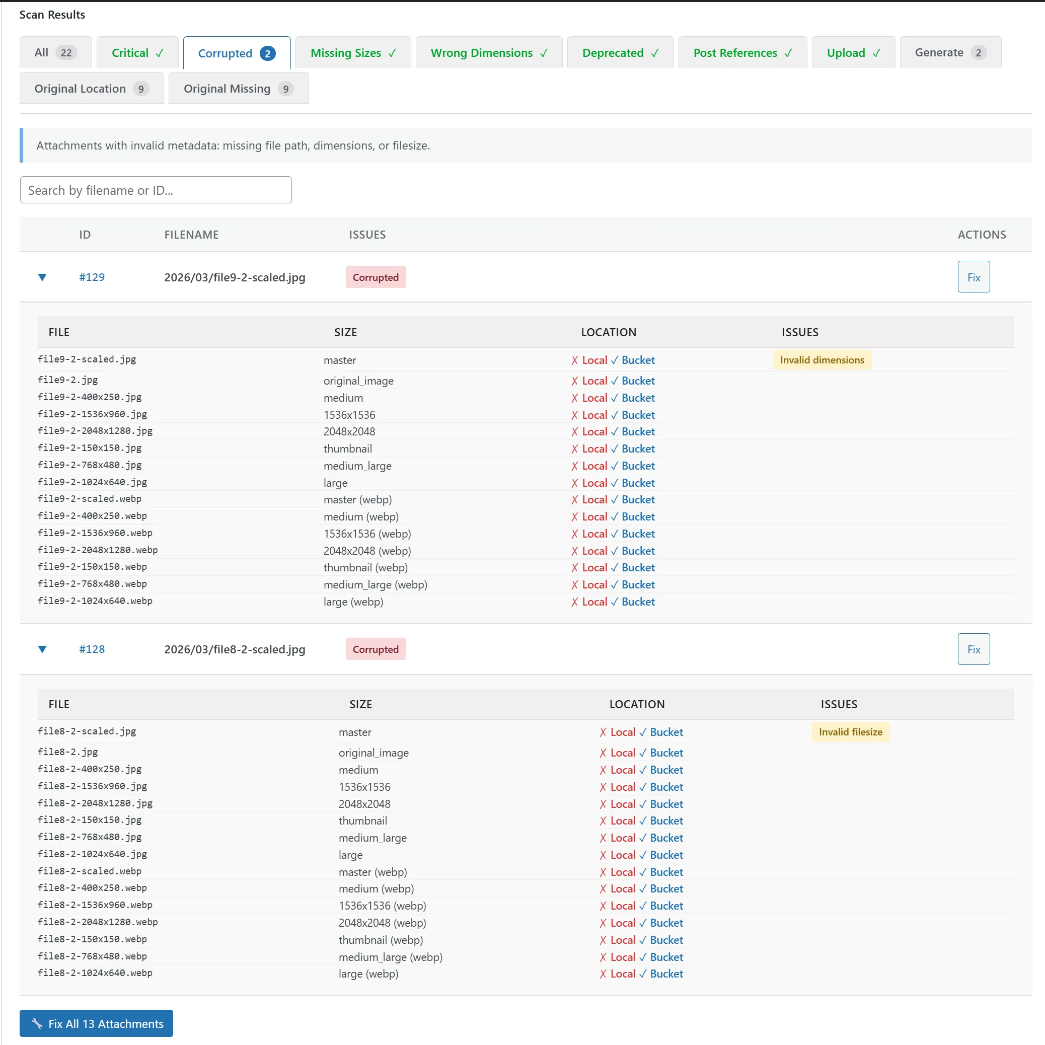 Scanner results highlighting attachments whose metadata is corrupted — wrong dimensions, deprecated sizes, and missing entries flagged per attachment