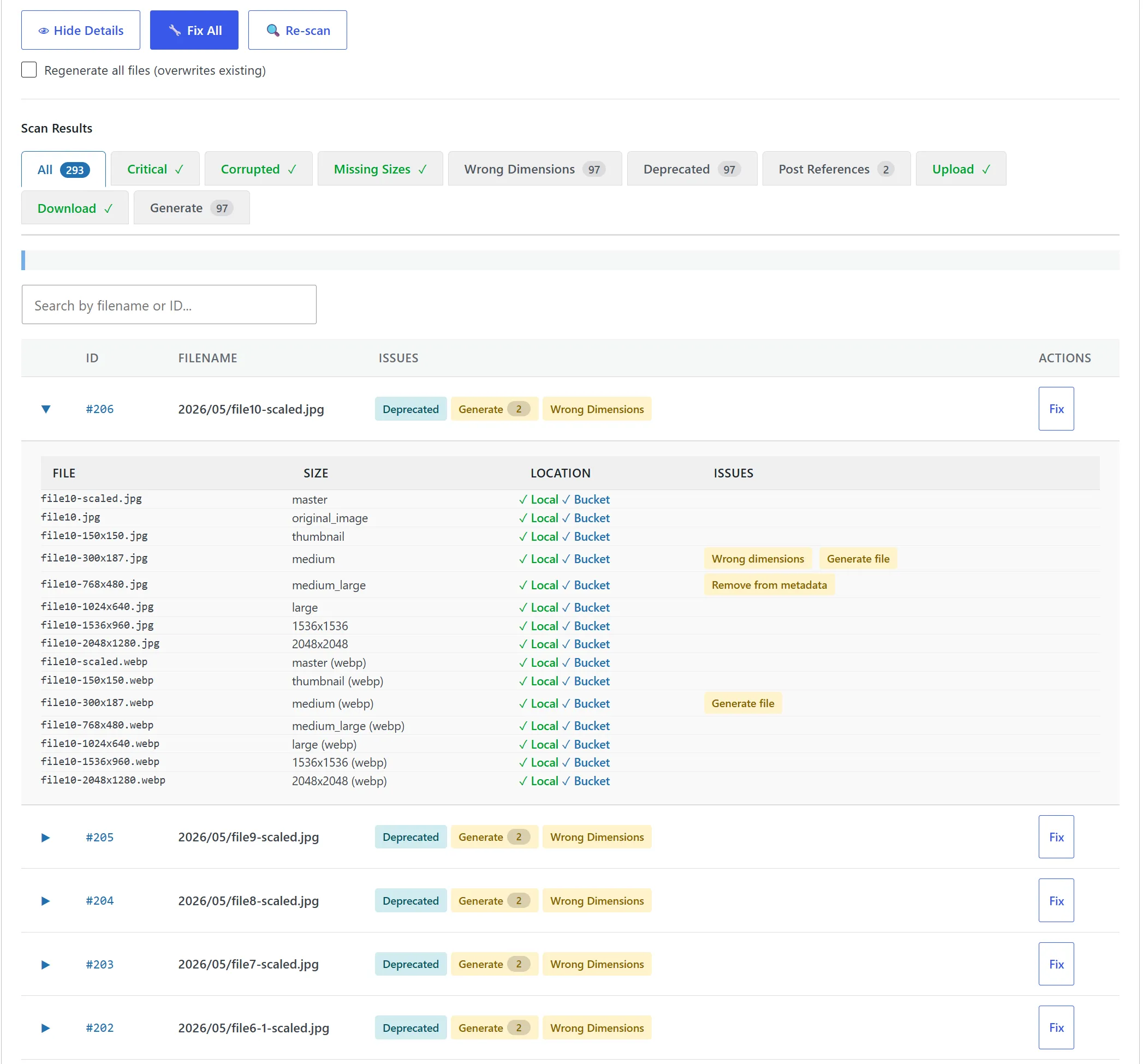 A single expanded attachment in the scanner — every issue type and every affected size listed in detail, with the planned fix action next to each one